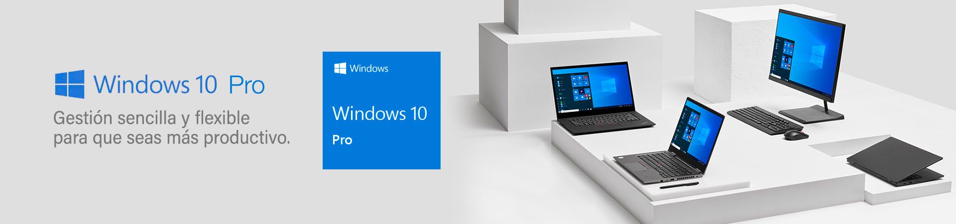 Laptop con Windows 10 Pro